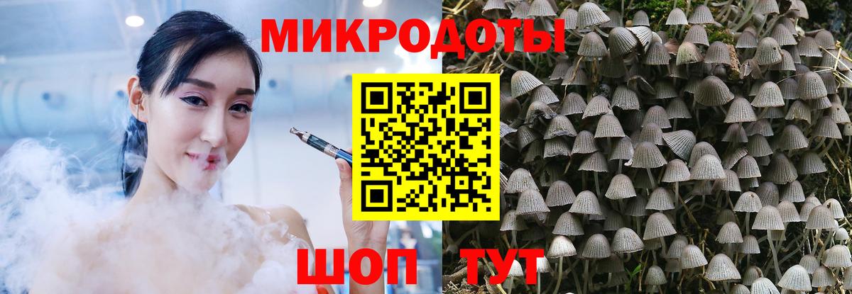 Ростов-на-Дону  Галлюциногенные грибы Psilocybine cubensis  Вход с VPN  как найти   Псилоцибиновые грибы Cubensis 